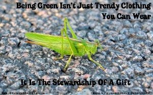 Being Green Grasshopper Image By Jonas Konski Østergaard Graphic by www.AverageAdvocate.com