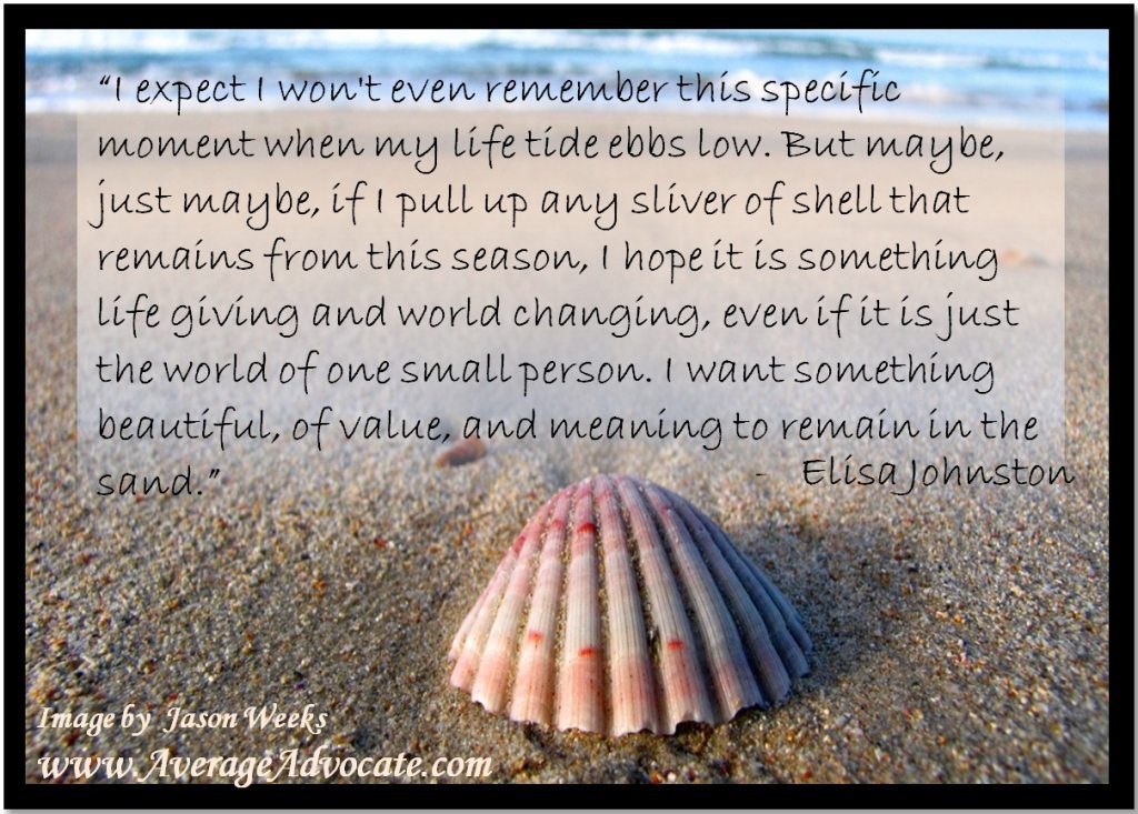 Seashell Beach Sand World Change Meaning in the Moment AverageAdvocate Elisa Johnston
