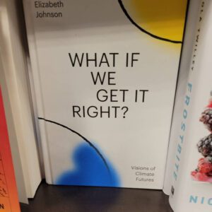 What if we get it right