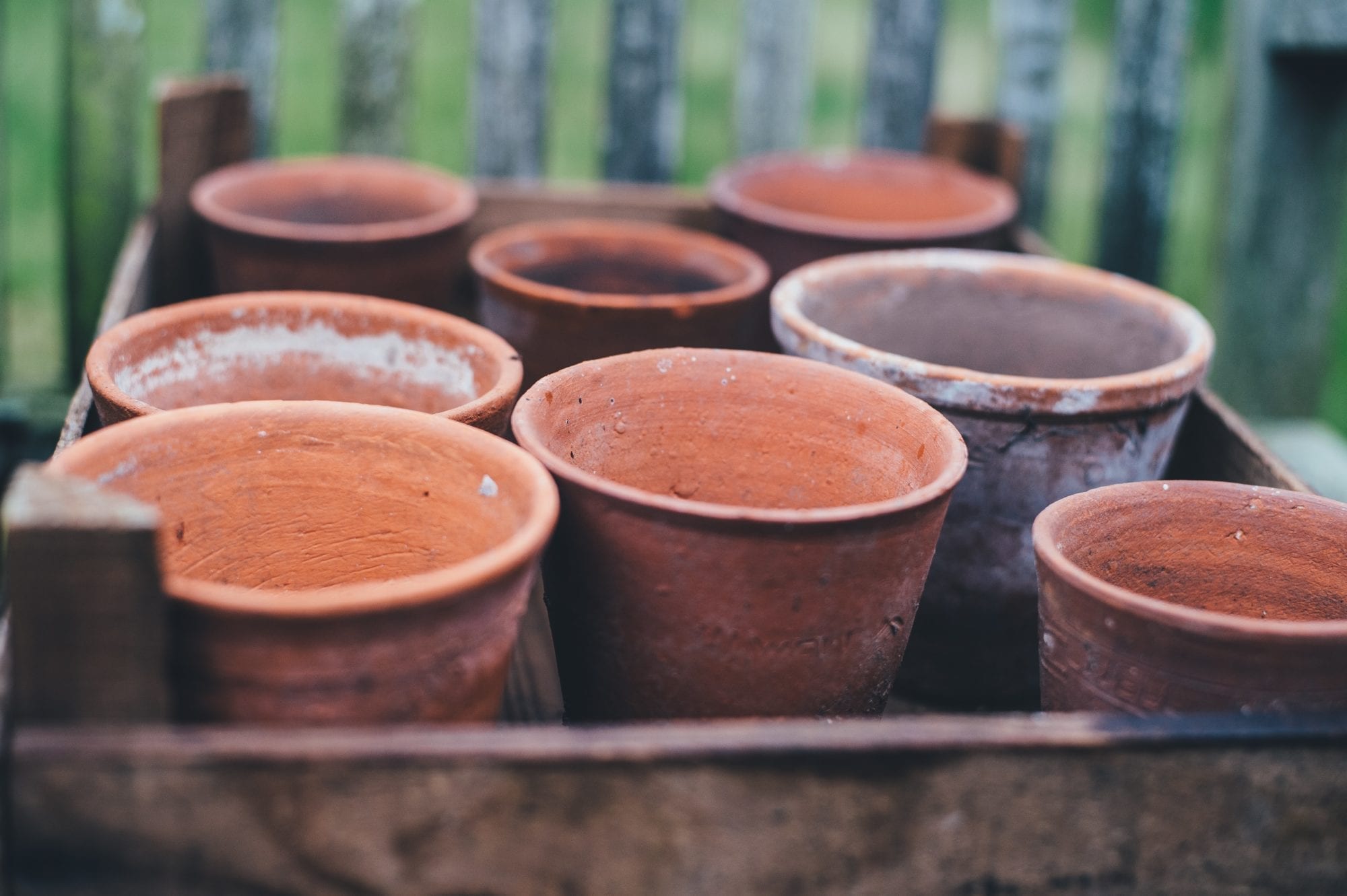Poetry: Cracking Jar