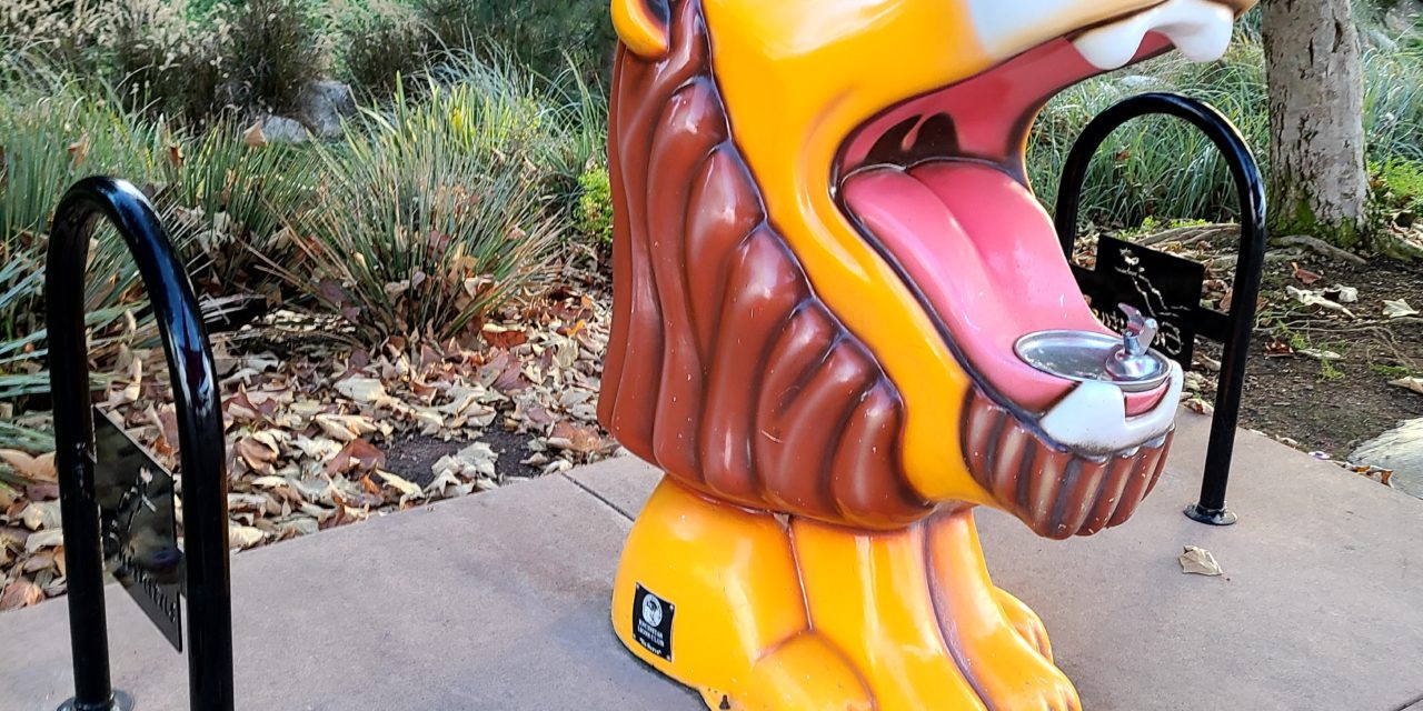 Roar: Your Voice and Voting