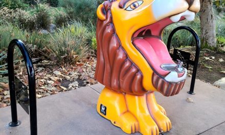 Roar: Your Voice and Voting