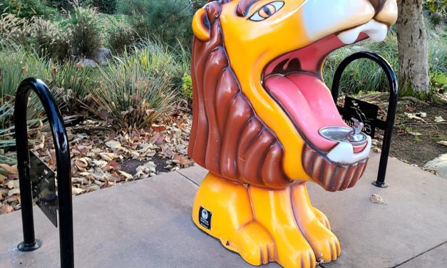 Roar: Your Voice and Voting