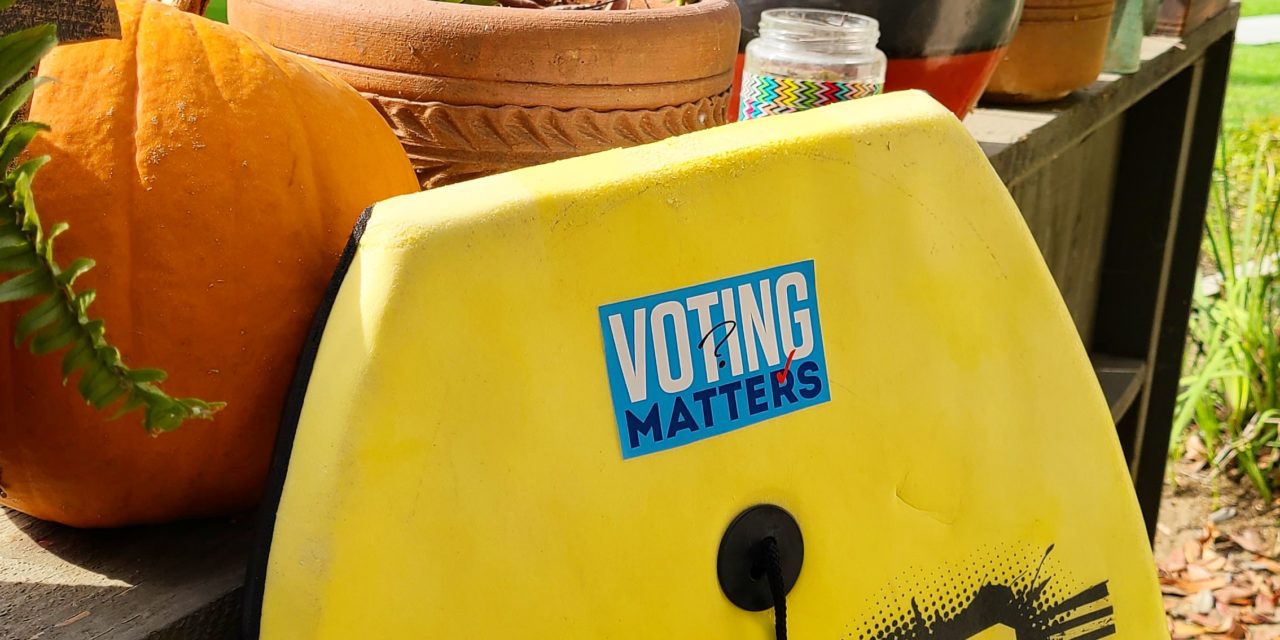 Five Reasons to Keep Voting (Even When You Lose)