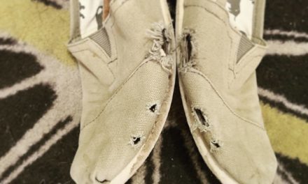 The Old TOMS Shoes