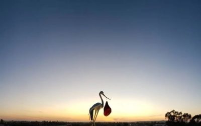 Poem: Waiting (Pregnancy and Lupus #10)